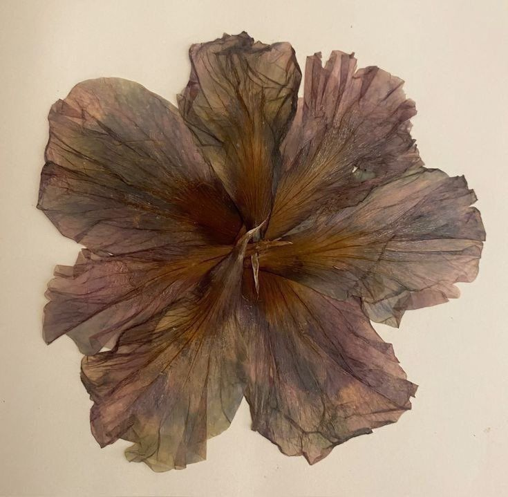 pressed flower